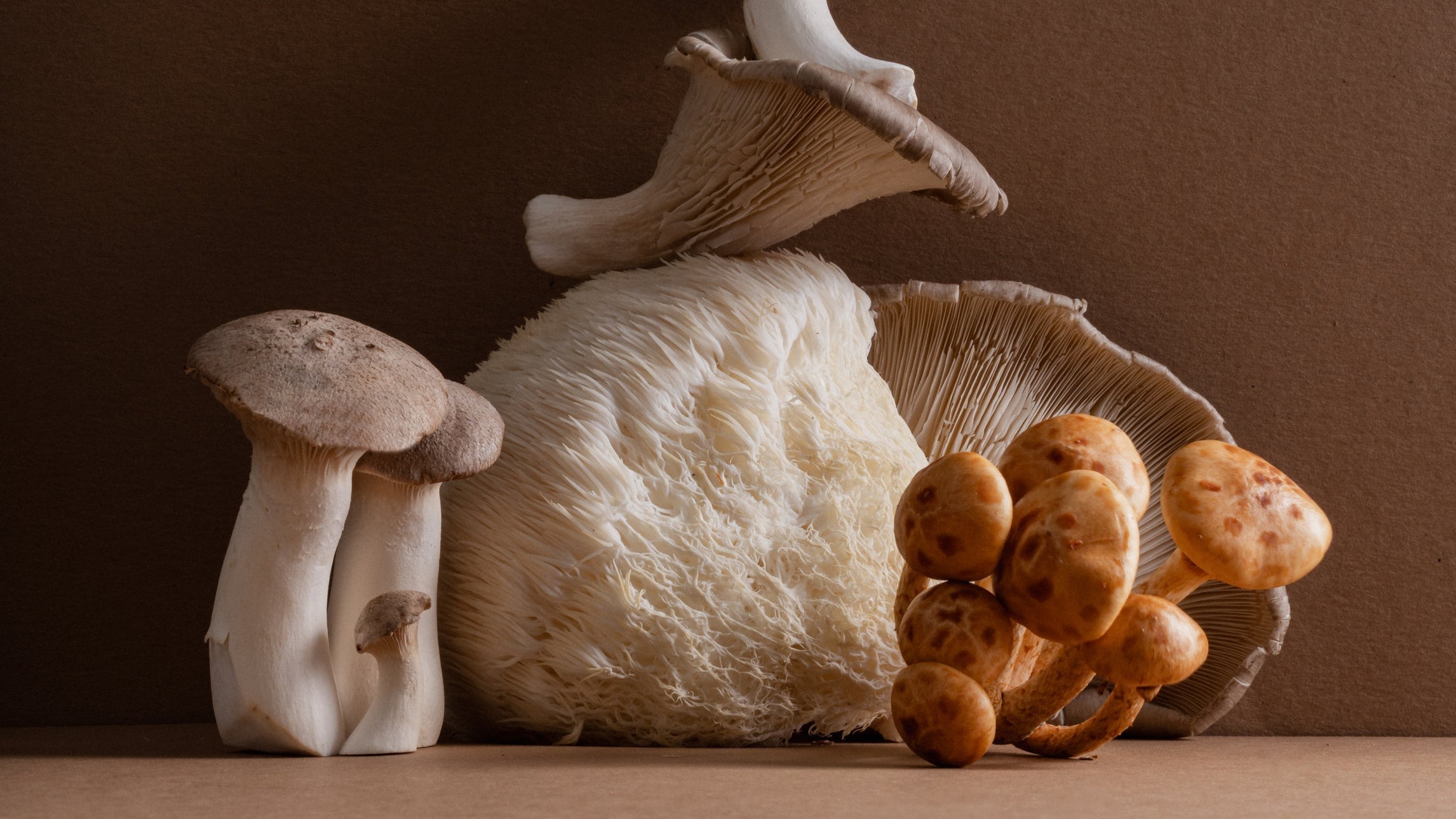 Routine bien-être : faut-il suivre les saisons ? - hymnestore